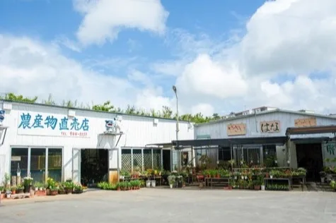 農産物直売店 畑人（はるさー）市