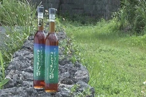 たまぐすく村のさとうきび酢