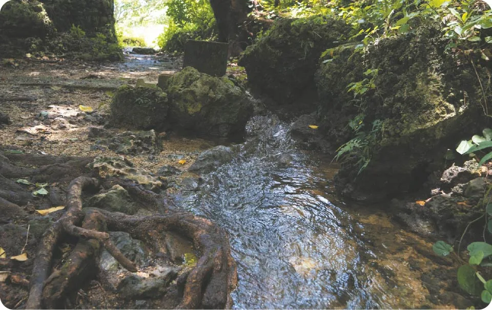 受水走水